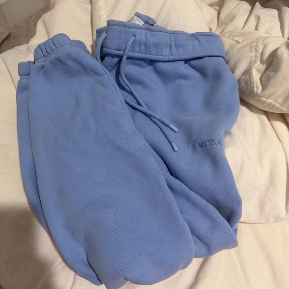 Aritzia blue sweatpants